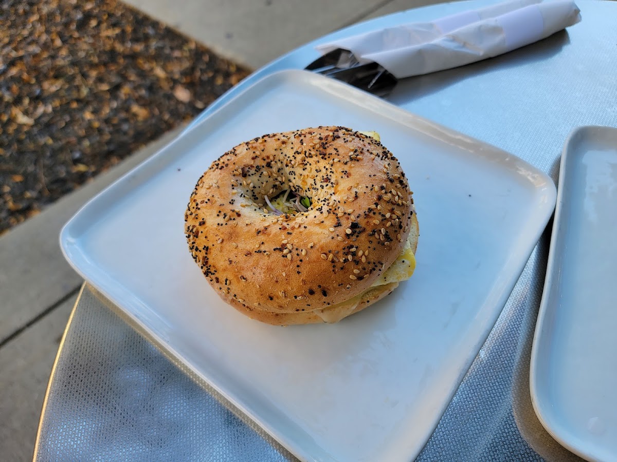 Sydney Providence-10